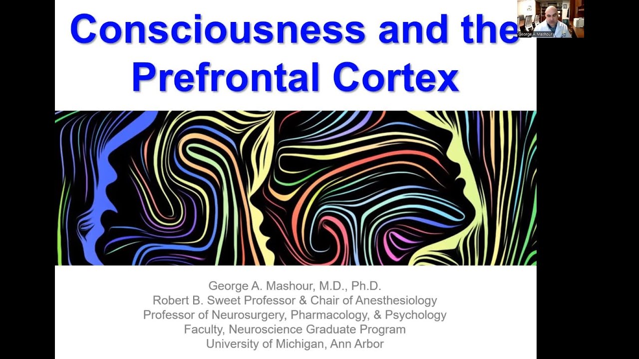 Consciousness and Prefrontal Cortex by George Mashour [MESEC WinterSchool 2023]