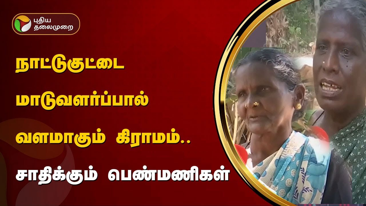 நாட்டுகுட்டை மாடுவளர்ப்பால் வளமாகும் கிராமம்.. சாதிக்கும் பெண்மணிகள் | Chengalpattu | PTT