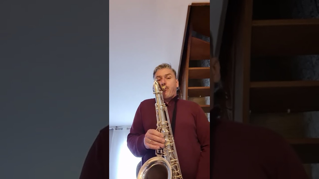 bec Brancher b27 / saxophone selmer mark6