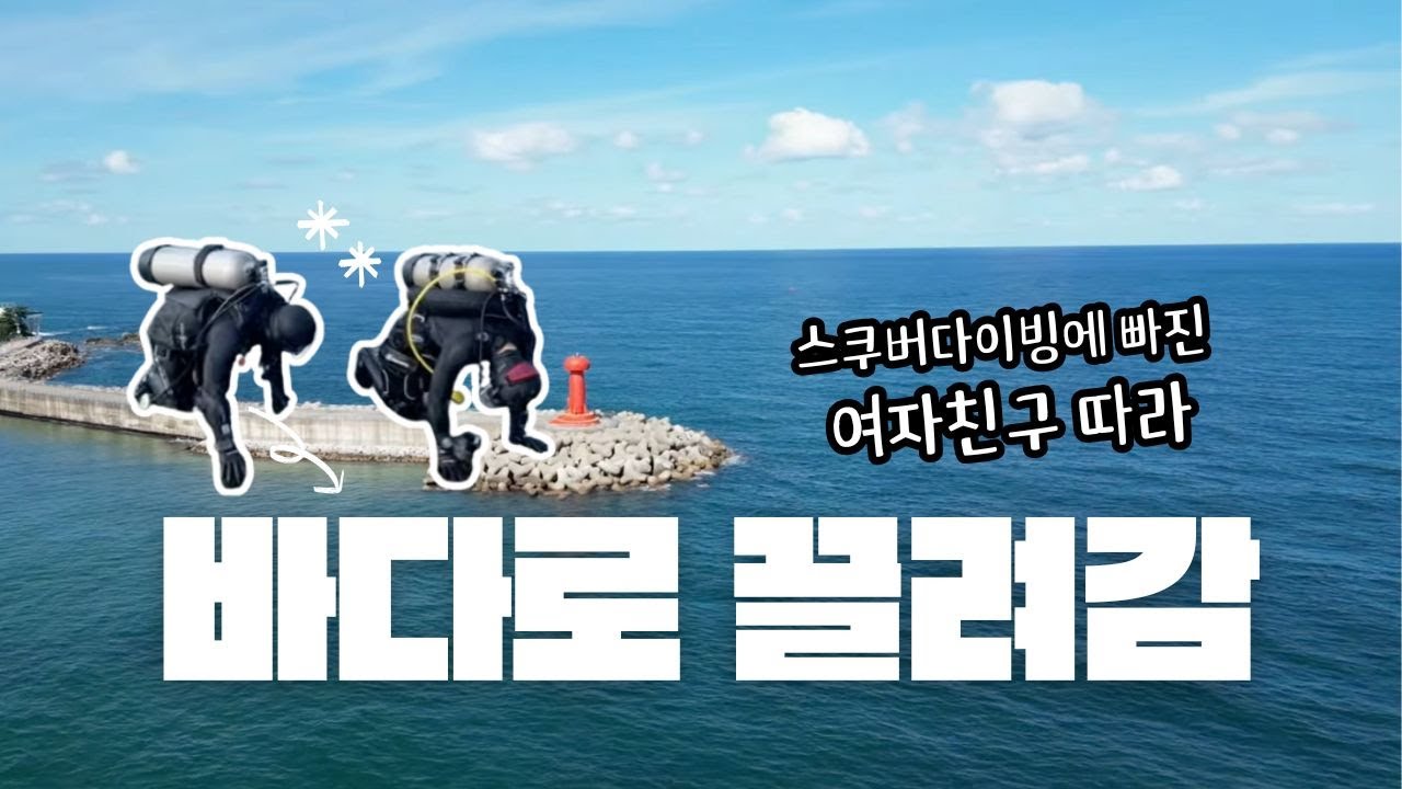 [팀다린이] 양양에서 스쿠버다이빙 자격증 따기. 참 쉽죠~?