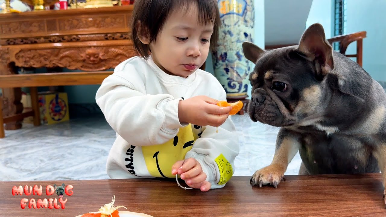Diem takes care of Mun dog like she took care of Monkey Kaka