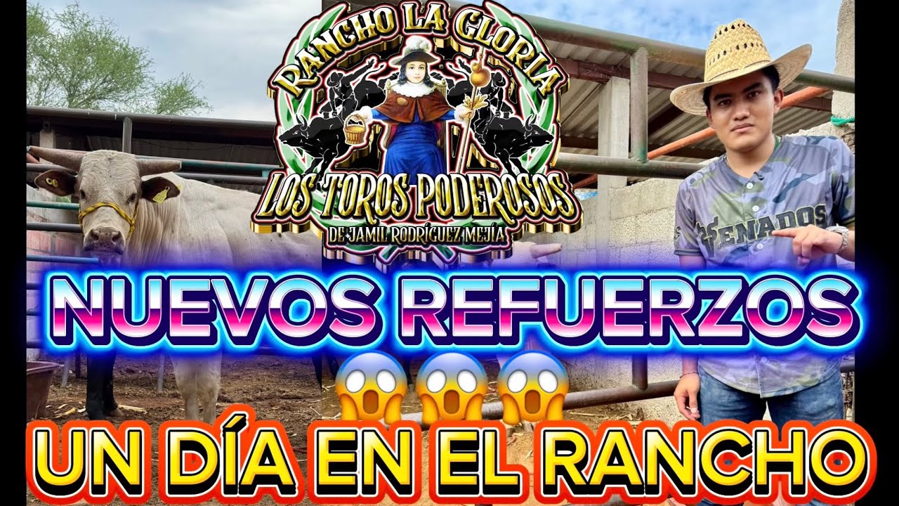 SIGUEN LLEGANDO NUEVOS TOROS! ESTO COMEN NUESTROS EJEMPLARES 🤘🏽🐂💯🍀⚡️