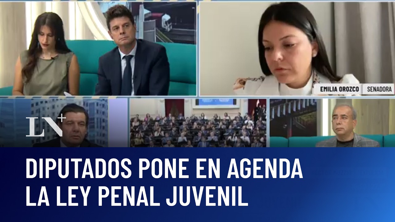 Baja de la edad de imputabilidad: anticipan una discusión intensa en Diputados
