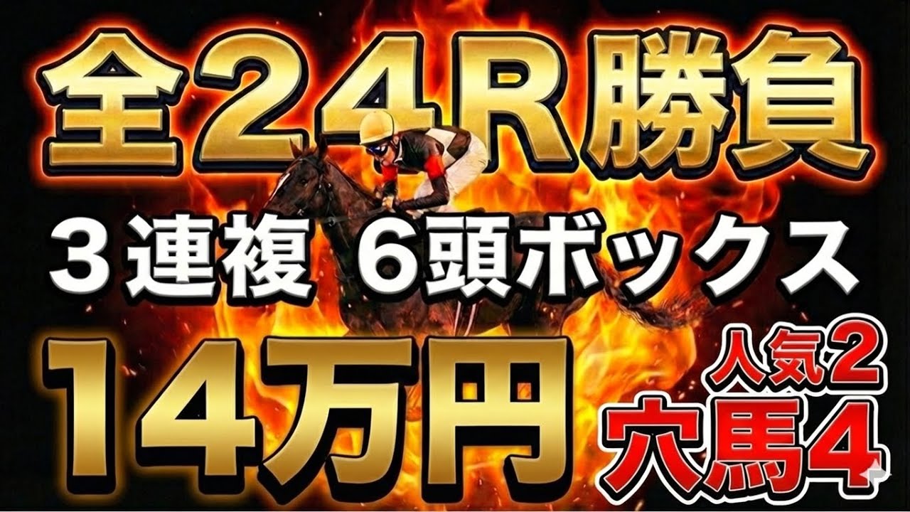 【14万円勝負】人気2頭×穴馬4頭！3連複6頭ボックス全24Rの結末…【競馬馬券場】