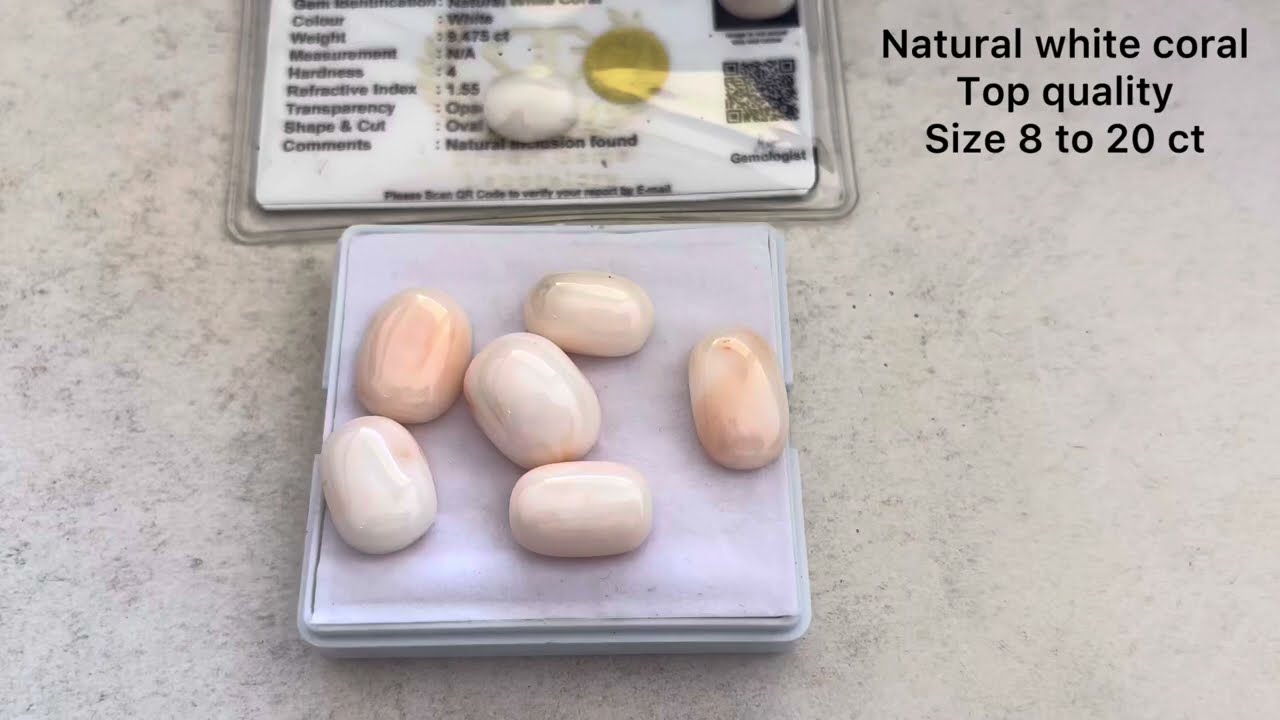 Natural white #coral #stone / top quality / dm for more details 9353098317