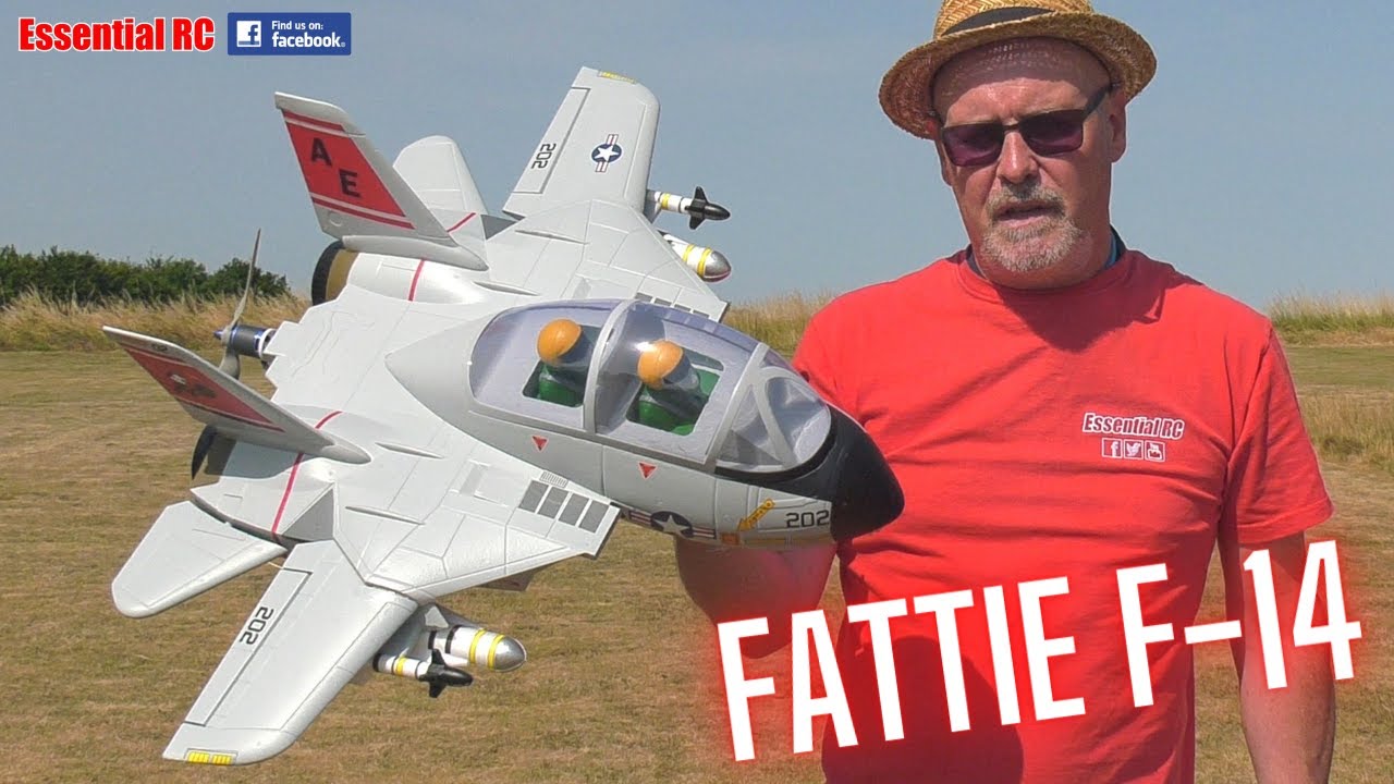 Cartoon Top Gun Jet ! Radio Controlled (RC) 'FATTIE' F-14 FIGHTER JET | Essential RC FLIGHT TEST