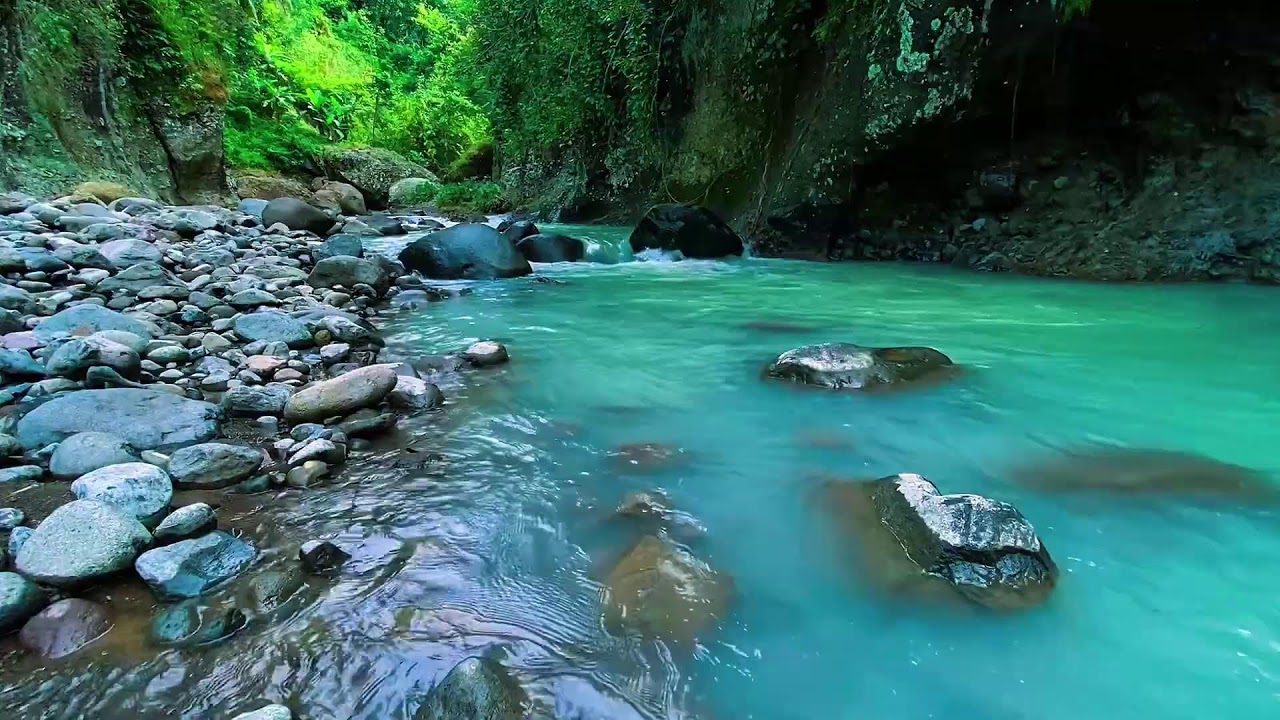 Forest River Flowing Water, Mountain Stream Audio, Sleeping