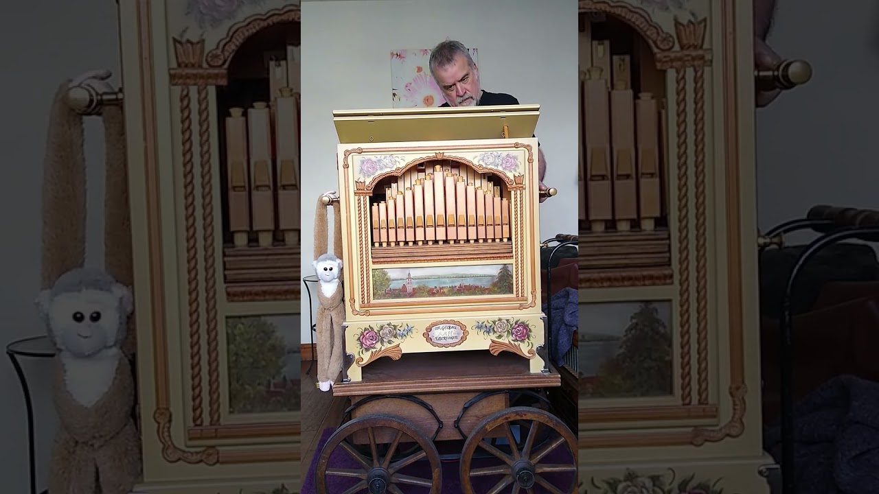 Disney Pixar Medley - Raffin 31/100 organ