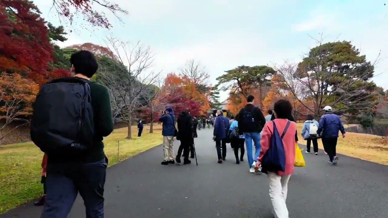 Tokyo Imperial Garden (Autumn) - 皇居東御苑 HDR | 4K