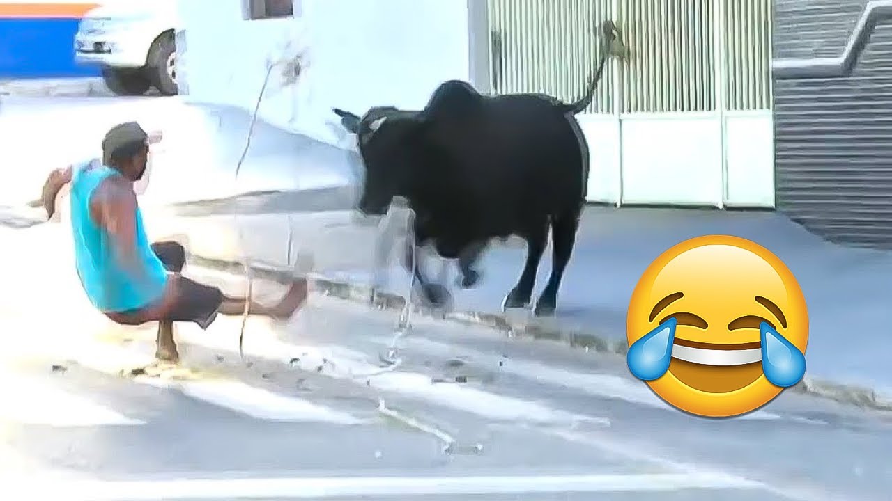 TENTE NÃO RIR 🤣 MELHORES MEMES E VIDEOS ENGRAÇADOS 7 #videosengraçados #memes #tentenaorir