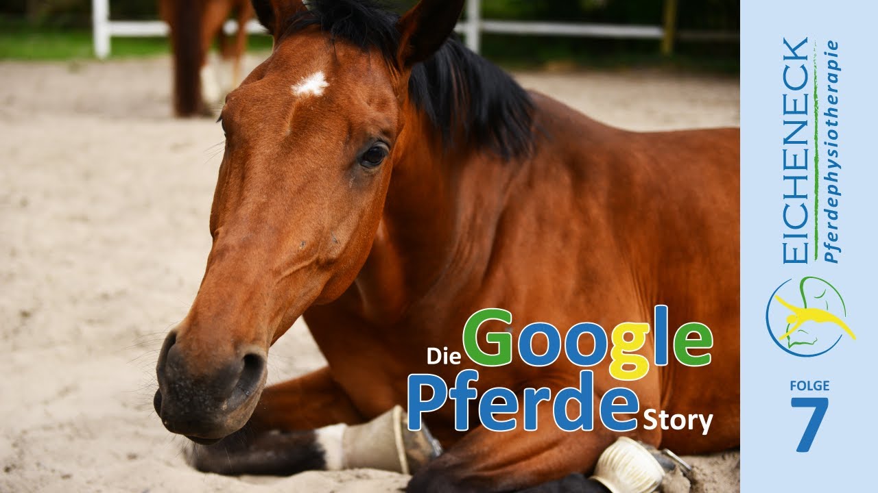 Glocken | Die Google Pferde Story Folge 7