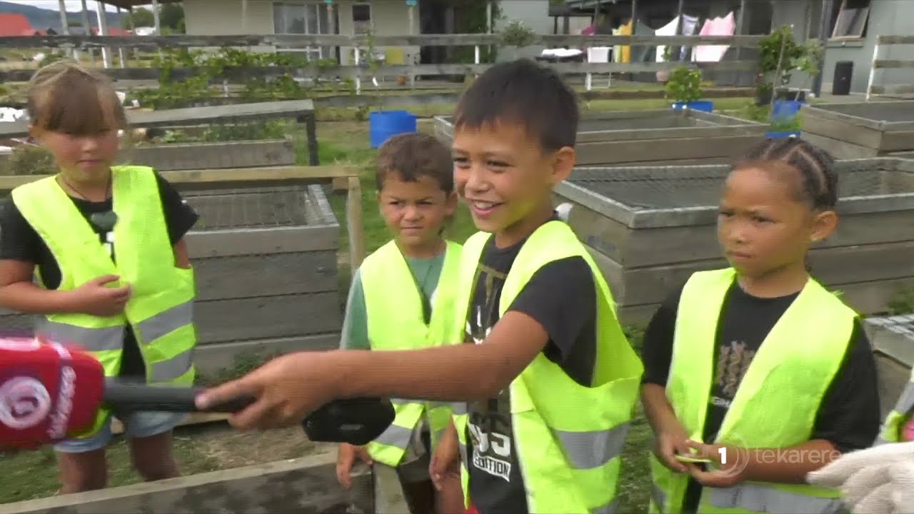 Tamariki learn about māra kai as part of iwi strategy on food, water security