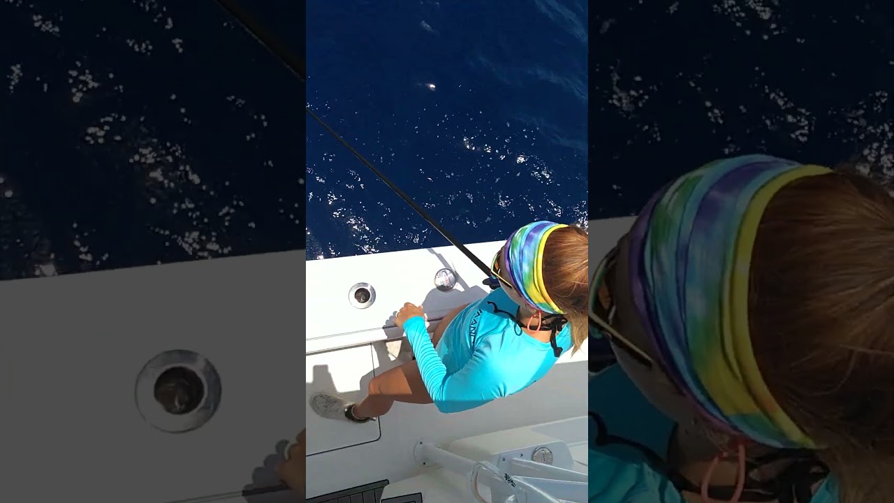 Deep Drop Fishing. 