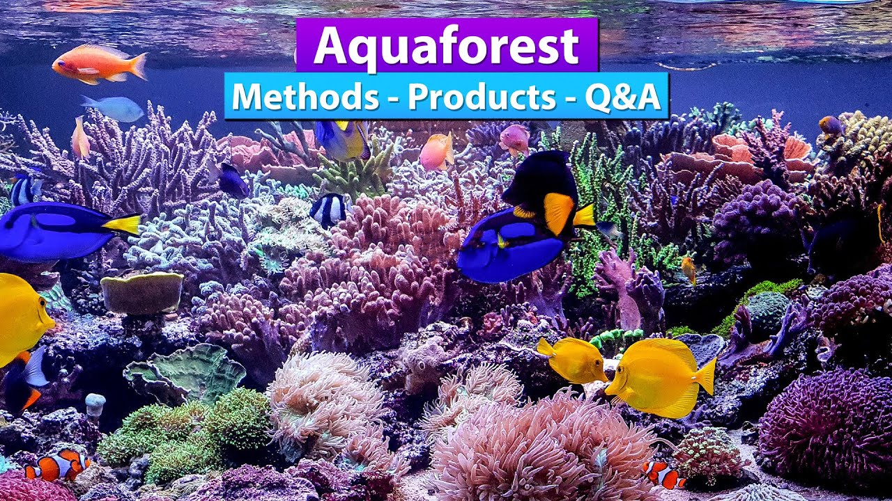 Aquaforest - Methods, Products Q&A