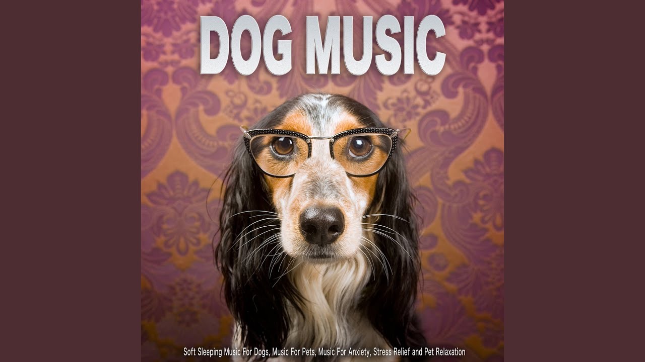 Soothing Pet Music
