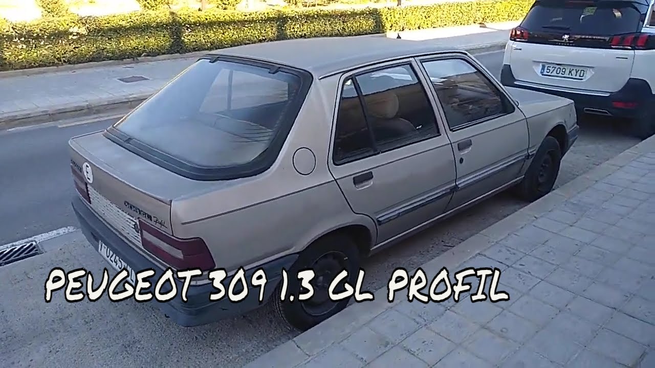 Avistamiento Peugeot 309 GL Profil