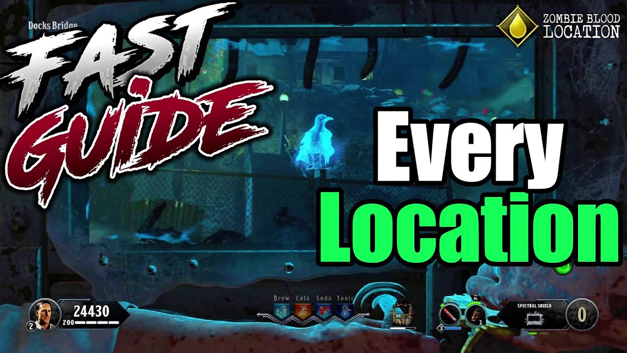 BLOOD OF THE DEAD - ALL 40 BIRD LOCATIONS IN-DEPTH FAST GUIDE | BLACK OPS 4