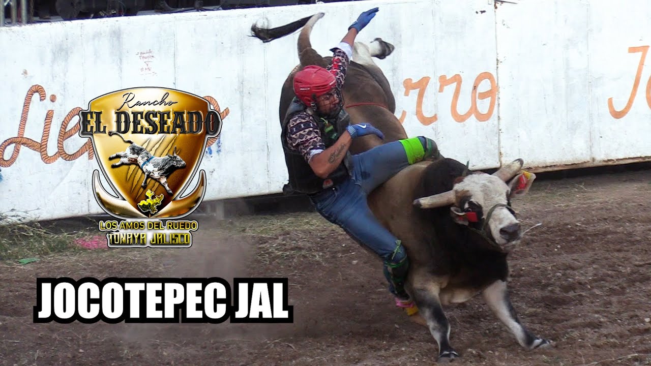 ¡SIGUEN IMPARABLES ESTOS TOROS! RANCHO EL DESEADO EN JOCOTEPEC JALISCO 2024