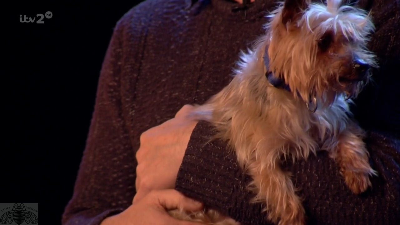 Britain's Got More Talent 2017 Ant's Nemesis is Back Full Clip S11E02