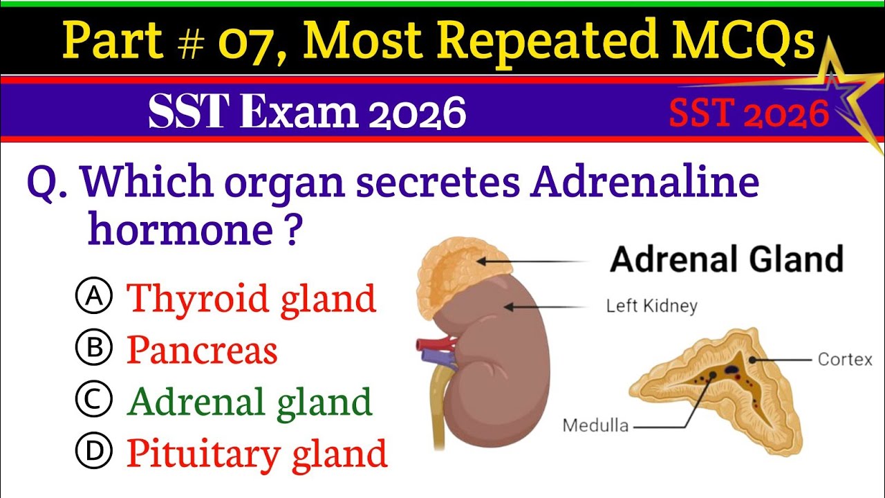 Part # 07 || Top 30 MCQs for SST Exam Preparation 2026 | Most Important SST Practice Questions