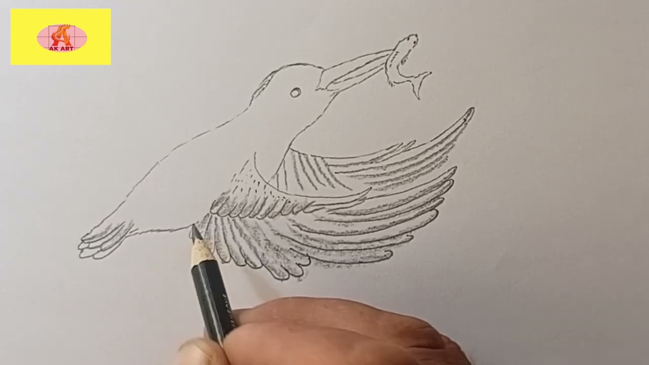 how to Darw a Beautiful kingfisher.