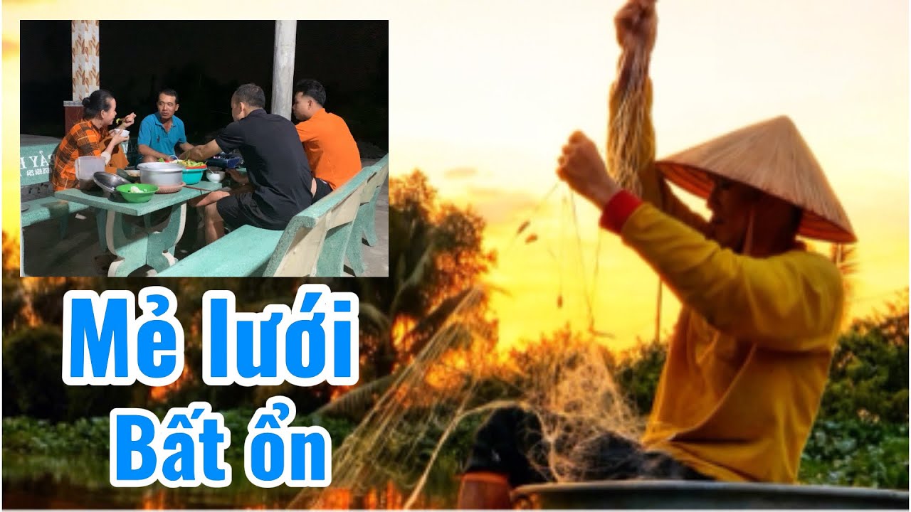 Giăng Lưới Trên Nhánh Sông Vàm Cỏ Tây | Cá Lóc Hơn 1Kg Nấu Canh Chua Cơm Mẻ Miền Tây