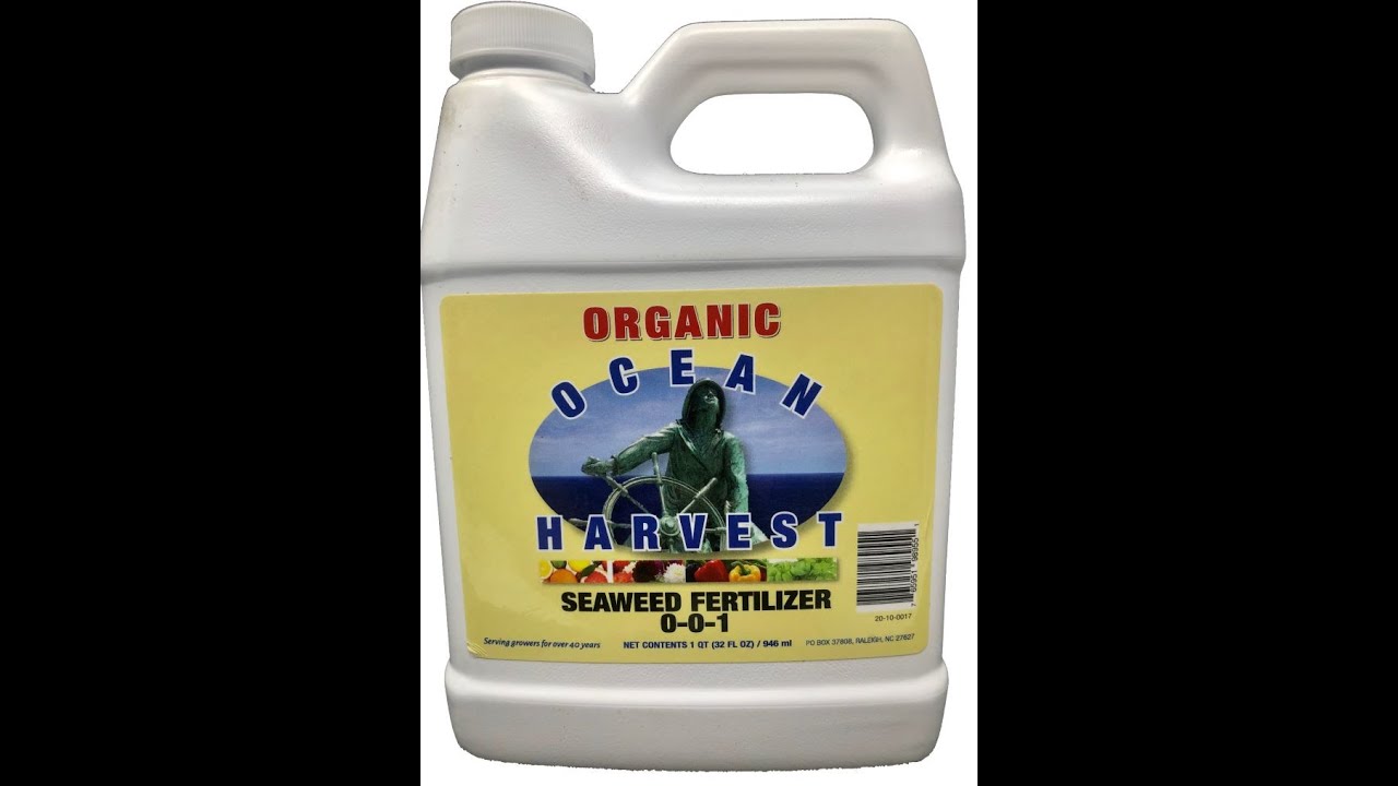 EZ-gro Ocean Harvest Organic Seaweed Fertilizer- Made from Seaweed Extract from the North Atlantic