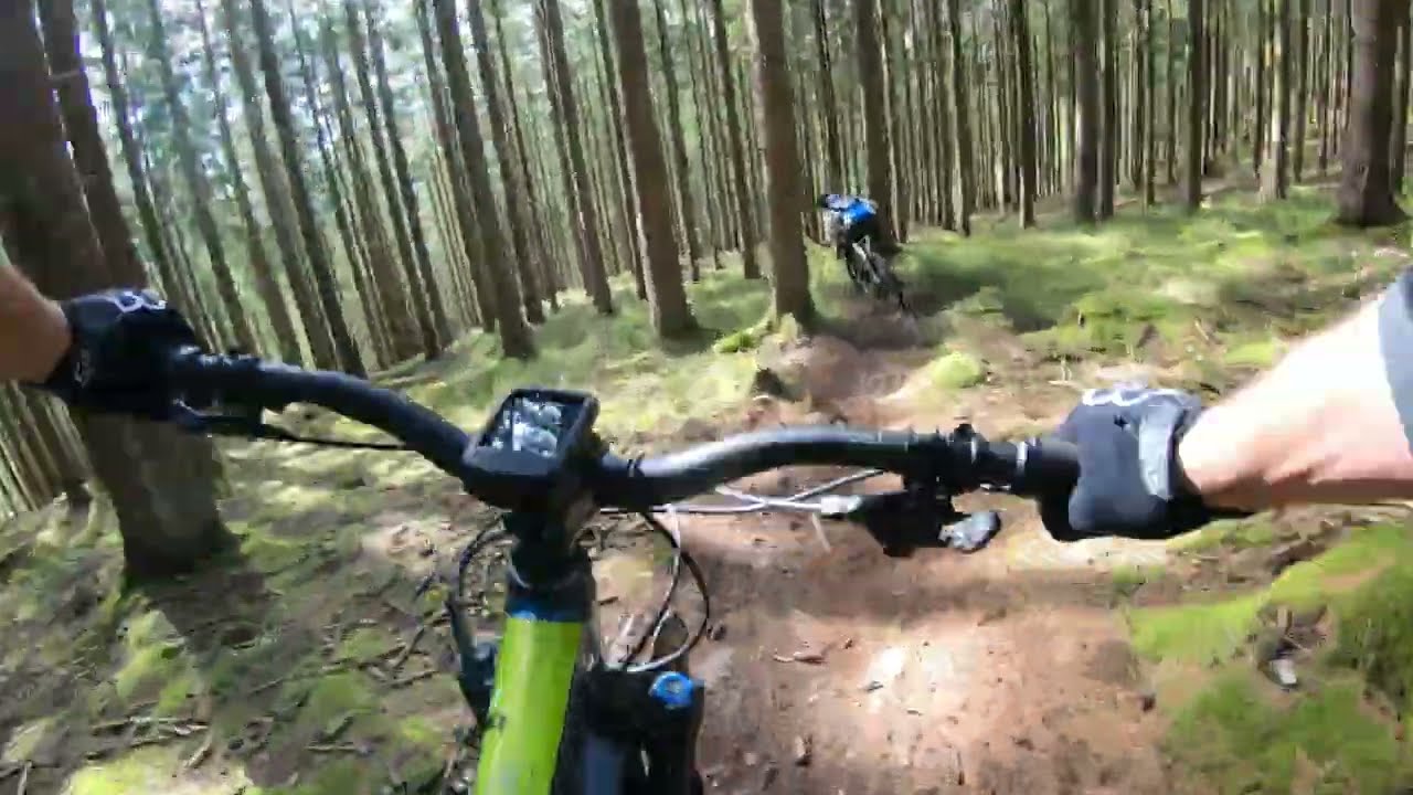 Beautiful MTB trails in the secret forest