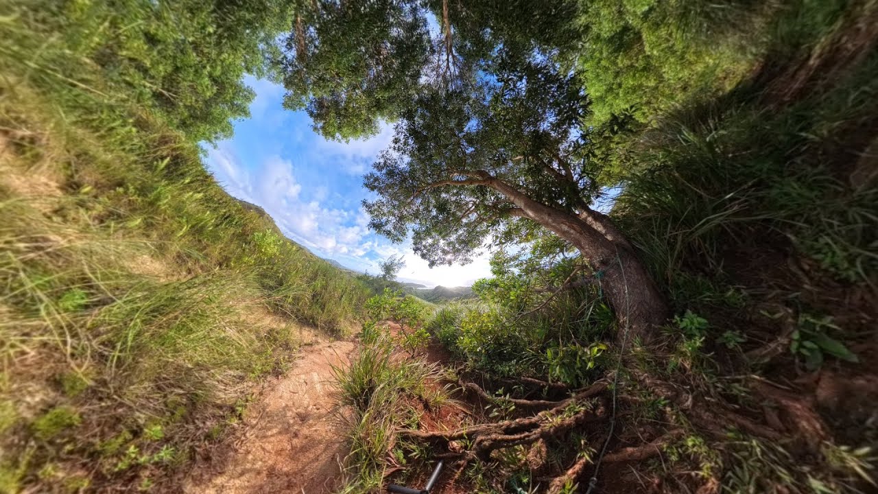 🌴 LamLam360 | Cetti Overlook (1st Rest Stop) 🌄🌀 Control the Video Angles