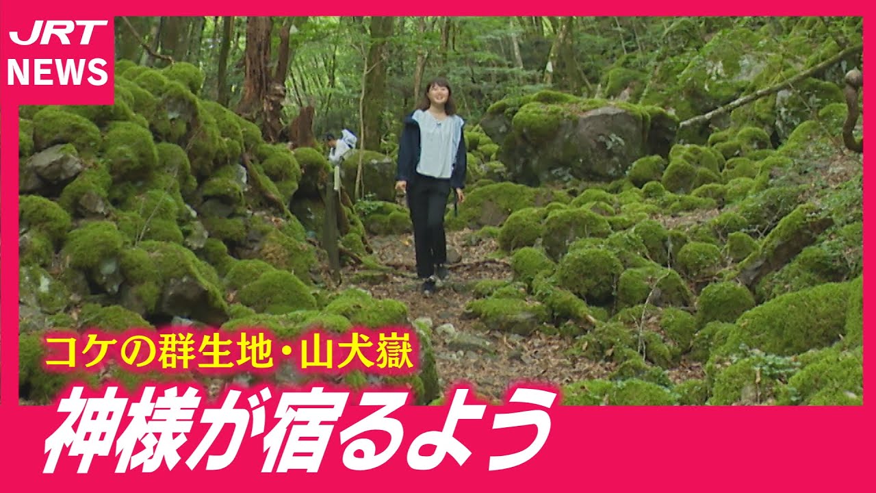 【避暑地】まるで映画の世界　コケの森を歩く