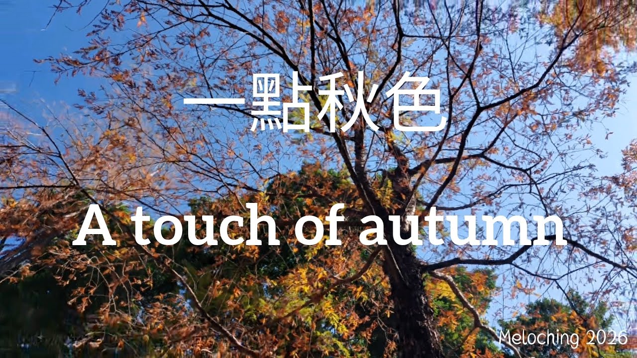 一點秋色 A touch of autumn