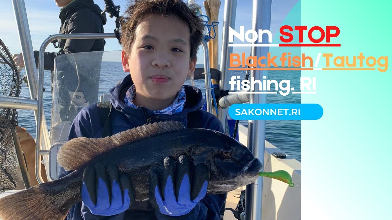 Tautog fishing Rhode Island at its Peak?? | 丢回去的黑斑都有20寸😂