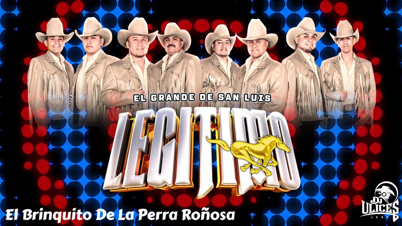Grupo Legitimo | El Brinquito De La Perra Roñosa (TRIBAL) ♪ [En Vivo 2024]