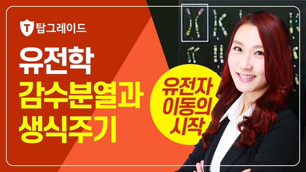 일반생물학 유전학 감수분열과 생식주기