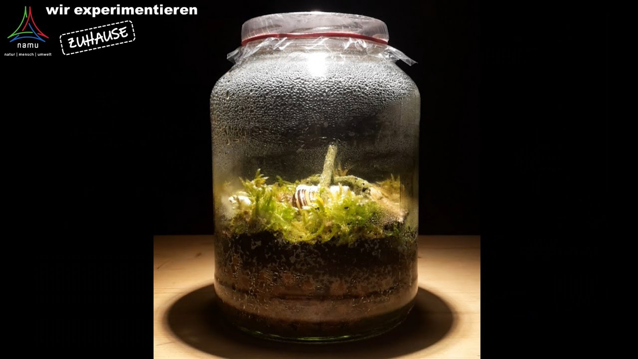 wir experimentieren ZUHAUSE - Folge 4: Die Welt im Glas