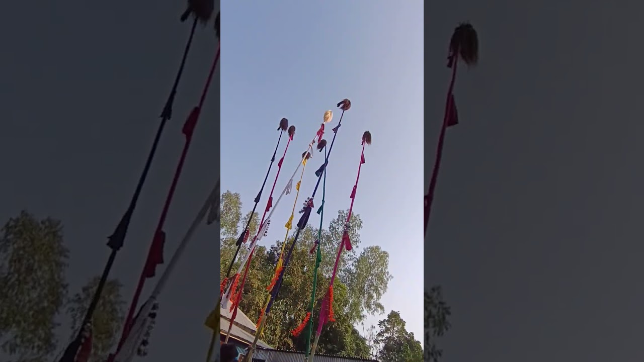 বাস নাচান 