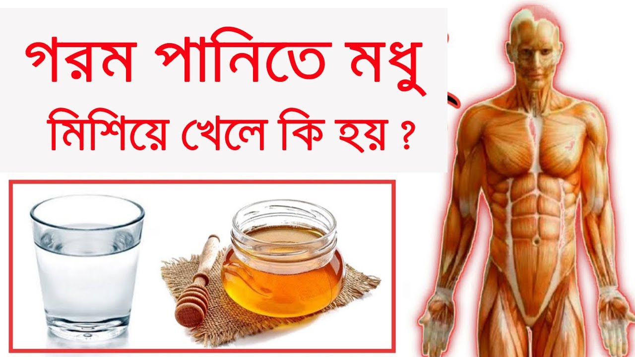মধু খাওয়ার সঠিক নিয়ম /কখন কিভাবে খেলে বেশী উপকার পাওয়া যাবে ? Best Time to Eat Honey