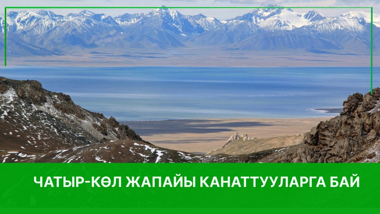 Чатыр-Көл жапайы канатууларга бай