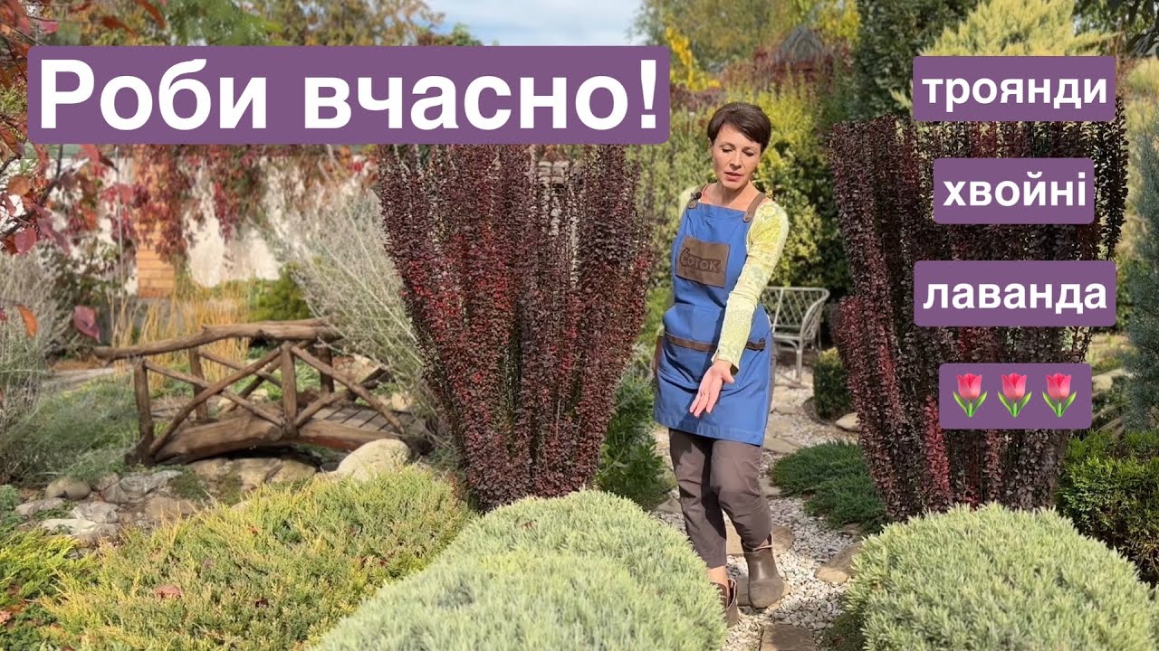 Роби вчасно,  щоб мати здорові рослини! Троянди 🌷 Хвойні 🌿Лаванда