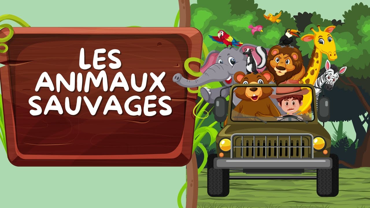 À la découverte des animaux sauvages 🦁🐘🌳