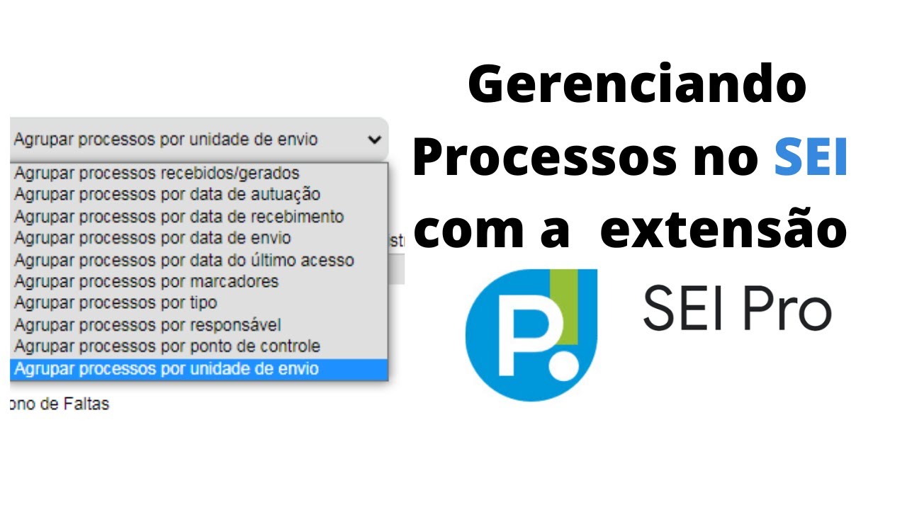 Gestão de Processos no SEI com a extensão SEI-PRO