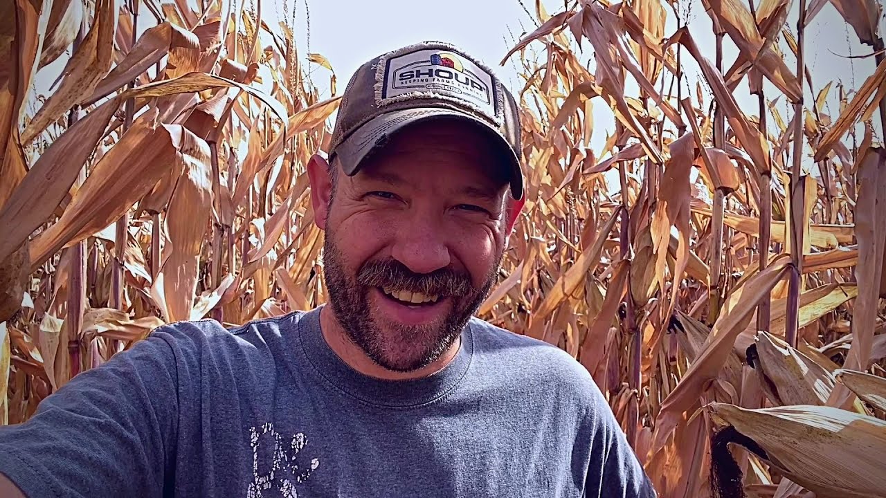 The State of Things - Before Harvest