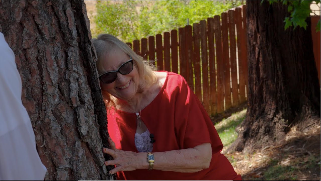 Уничтожить деревья или рисковать катастрофой: наука против истребления?