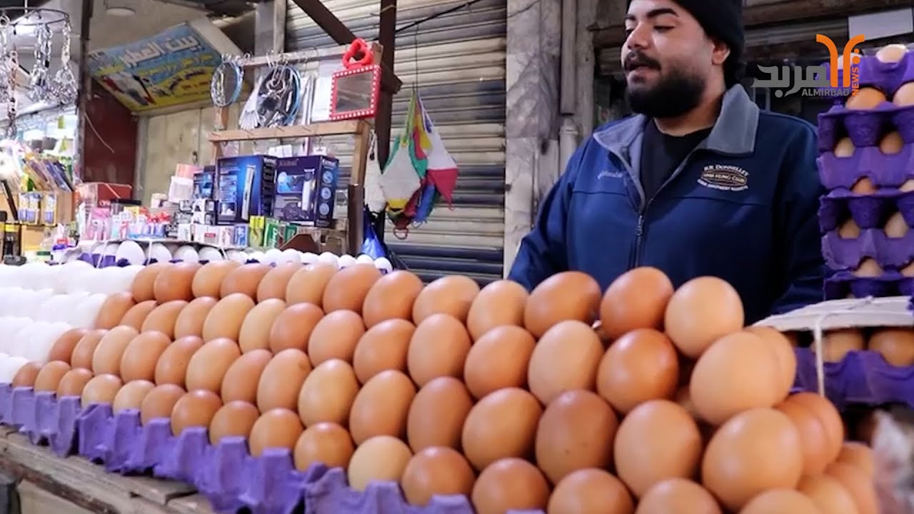 بسبب الـدولار وقلة الدعم .. بيض الدجاج يحلق عاليا في أسواق البصرة