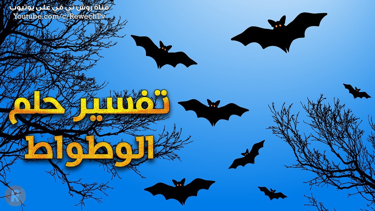 تفسير حلم الخفاش أو الوطواط - ما معنى رؤية الوطواط في المنام ؟ سلسلة تفسير الأحلام