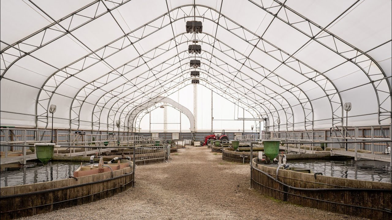 Ontario Aquaculture Research Centre Tour