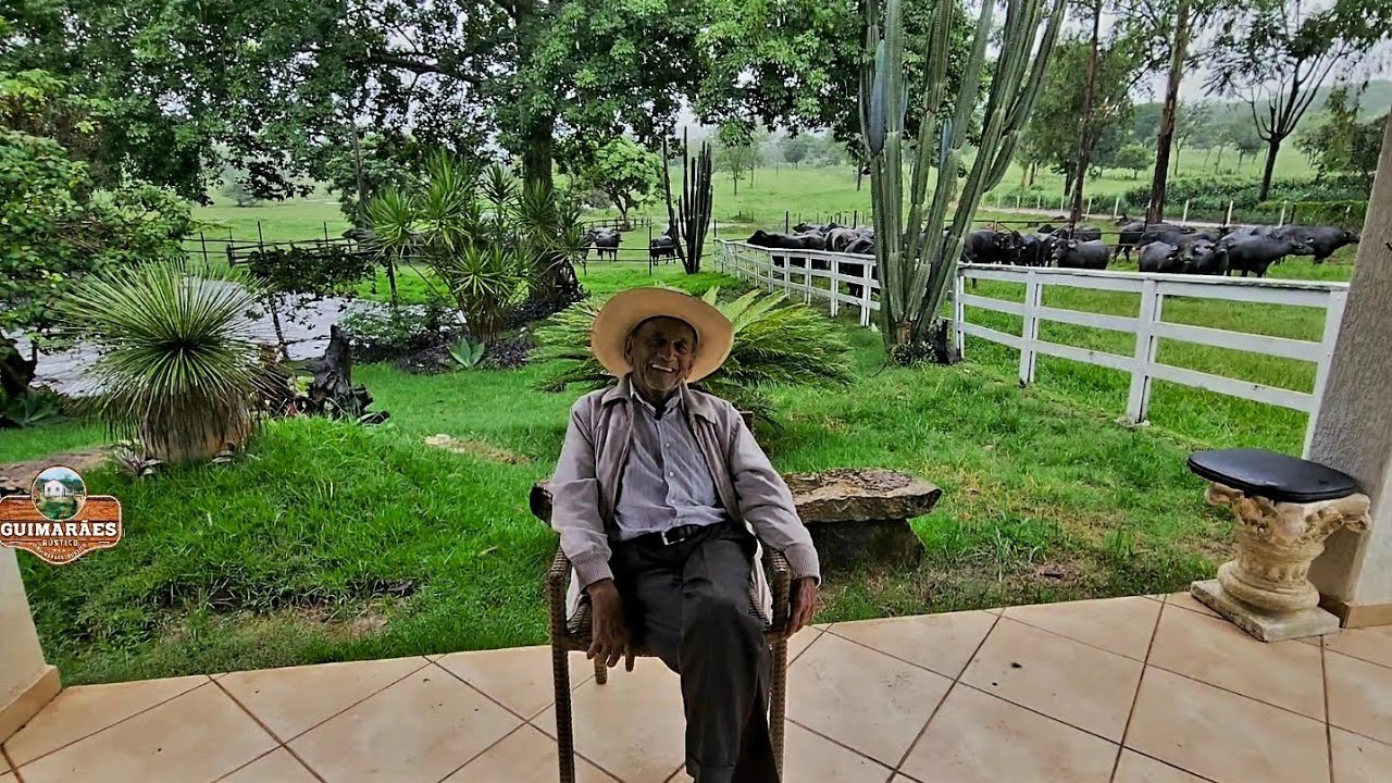 HÁ 35 ANOS, SEU NILTON MANO FOI UM DOS PIONEIROS A TRAZER BÚFALAS LEITEIRAS PRO CENTRO OESTE DE  MG
