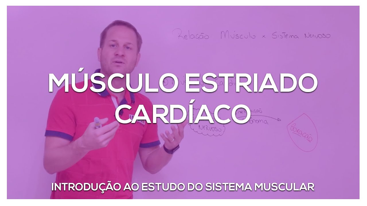 Músculo estriado cardíaco