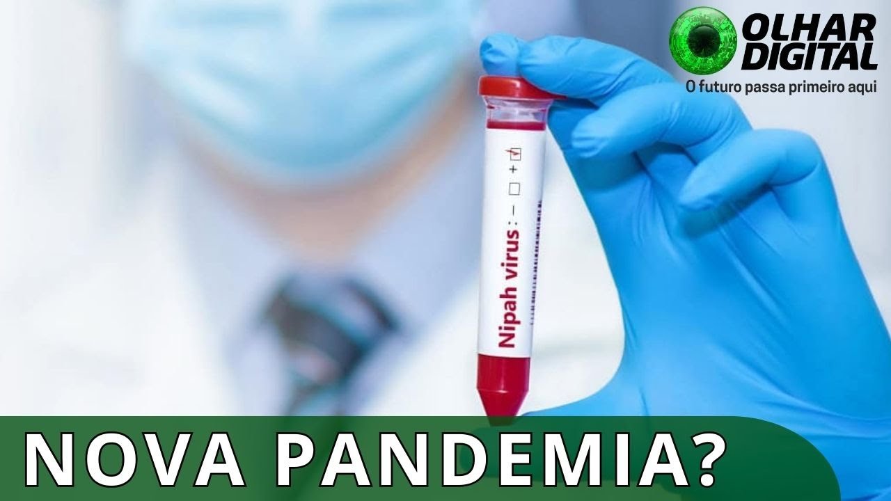 Há risco de um surto do vírus Nipah?
