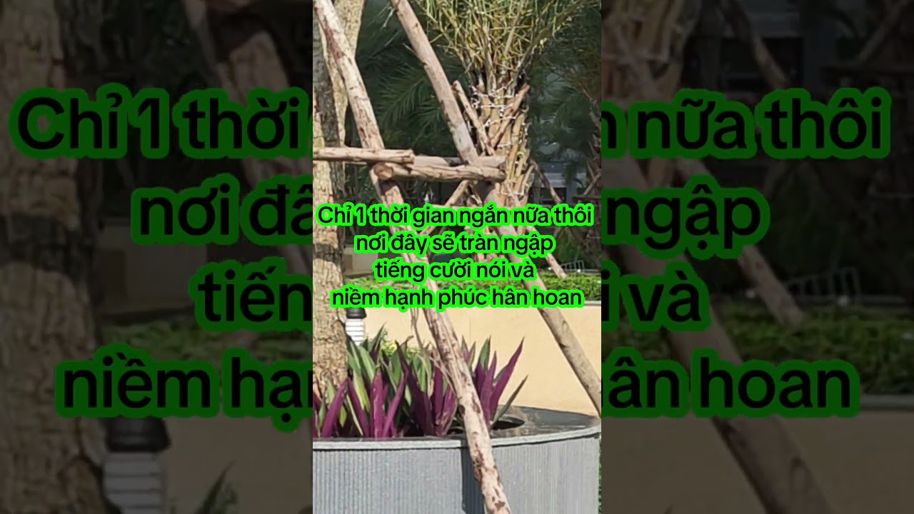 Một ng&agrave;y nắng đẹp tại khu đ&ocirc; thị Bcons City #bcons #bconscity